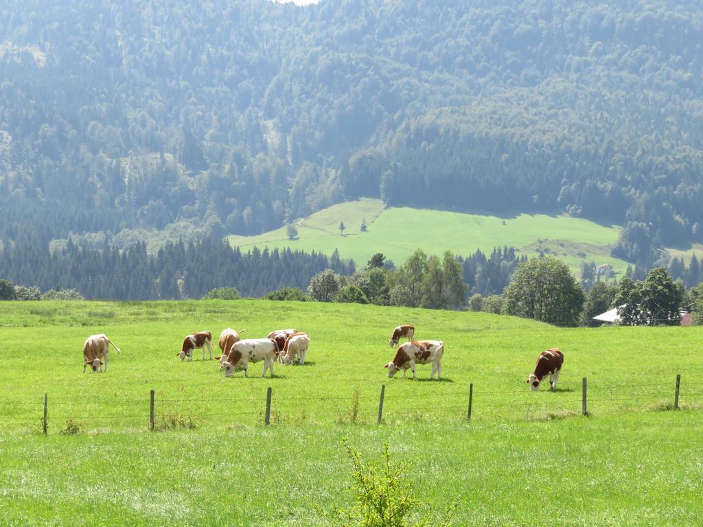 Ferienwohnungen Mooshaeusl Reit im Winkl Extérieur photo